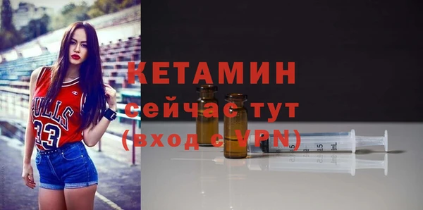 гашик Новозыбков