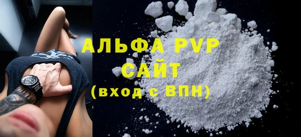 гашик Новозыбков