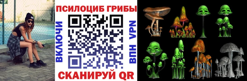 Галлюциногенные грибы GOLDEN TEACHER  Бердск 