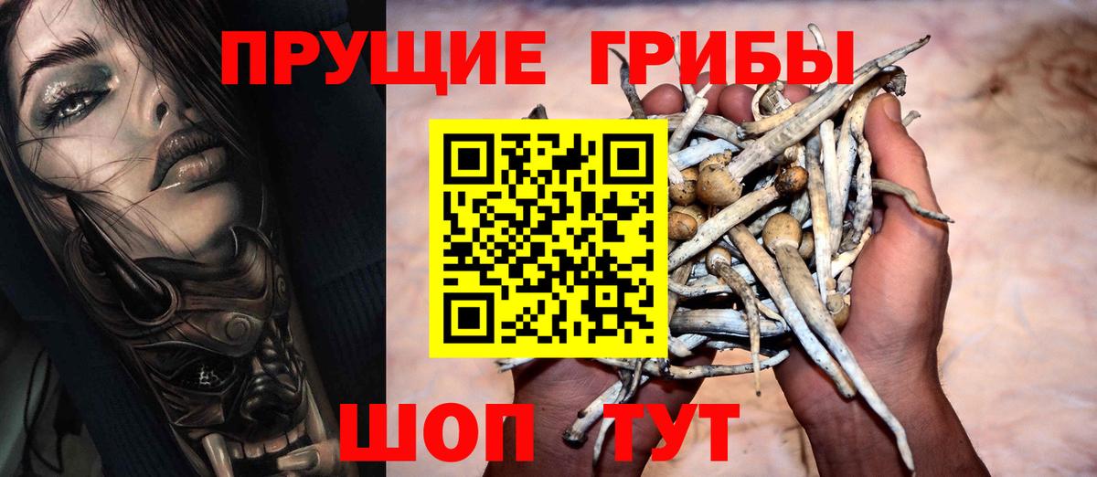 Псилоцибиновые грибы Psilocybine cubensis Бердск