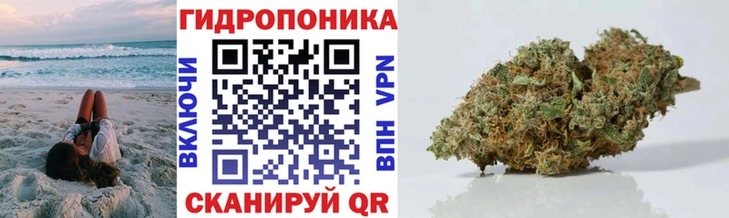 закладки  МЕГА   Бошки Шишки Amnesia  Бердск 